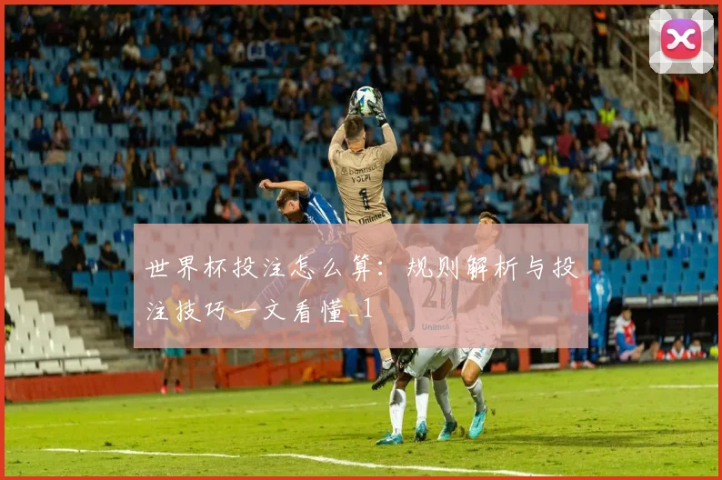 世界杯投注怎么算：规则解析与投注技巧一文看懂_1