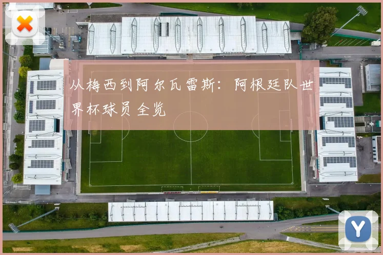 从梅西到阿尔瓦雷斯:阿根廷队世界杯球员全览