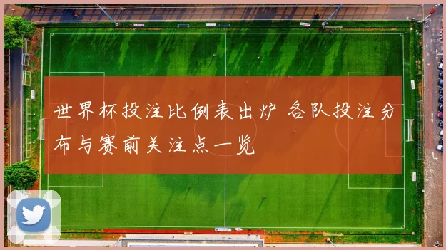 世界杯投注比例表出炉 各队投注分布与赛前关注点一览