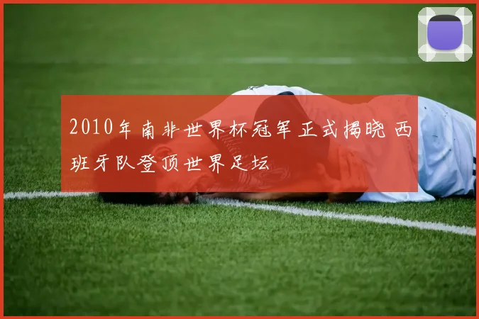 2010年南非世界杯冠军正式揭晓 西班牙队登顶世界足坛