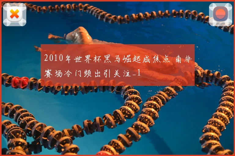 2010年世界杯黑马崛起成焦点 南非赛场冷门频出引关注_1
