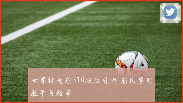 世界杯竞彩310投注升温 彩民紧盯胜平负赔率